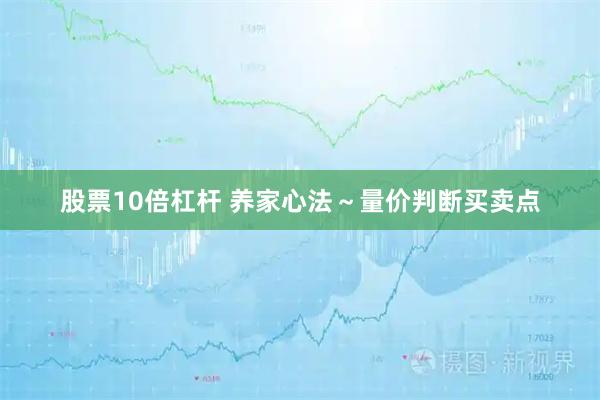 股票10倍杠杆 养家心法～量价判断买卖点