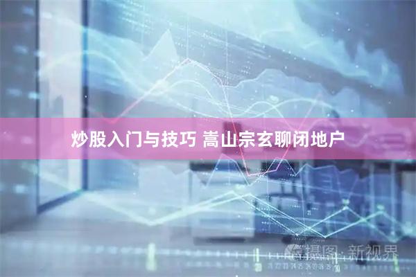 炒股入门与技巧 嵩山宗玄聊闭地户